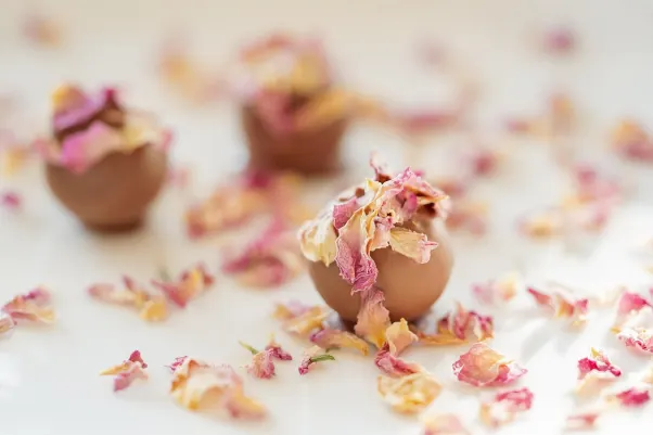 Cresus Casino Android/iOS-app